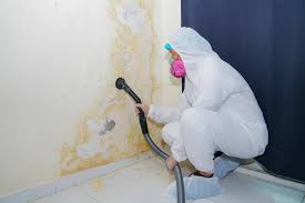 Mold Odor Removal Services in Island Walk, FL